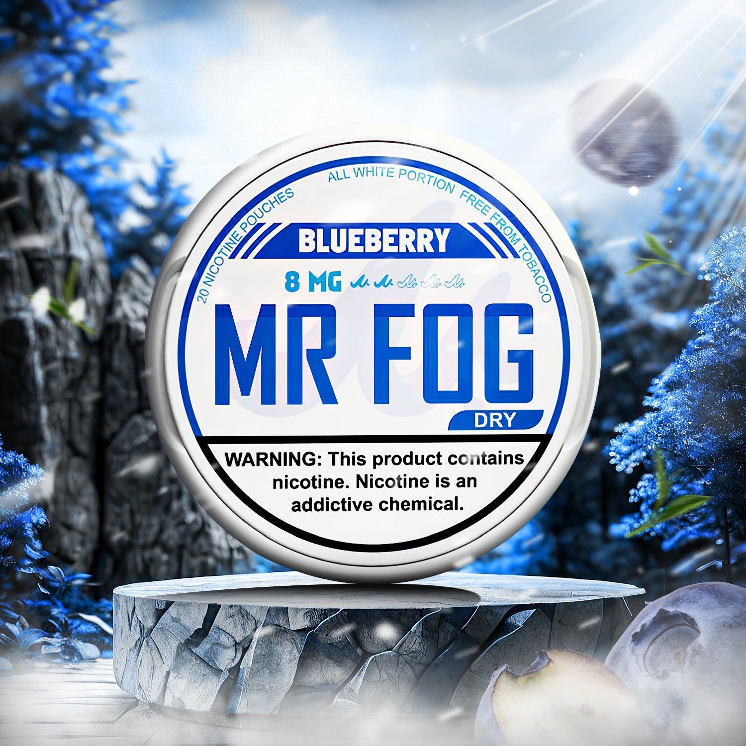 MR FOG NICOTINE POUCHES 8MG - Blueberry Dry  MR FOG NICOTINE POUCHES 8MG - Blueberry Dry