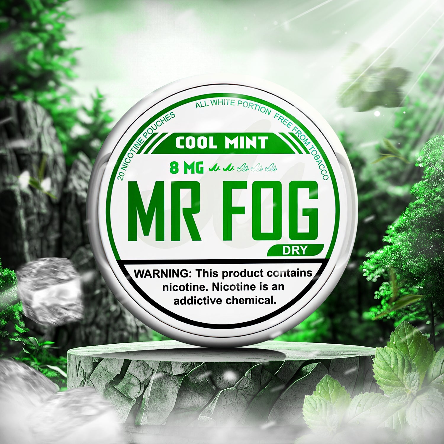 MR FOG NICOTINE POUCHES 8MG - Cool Mint Dry  MR FOG NICOTINE POUCHES 8MG - Cool Mint Dry