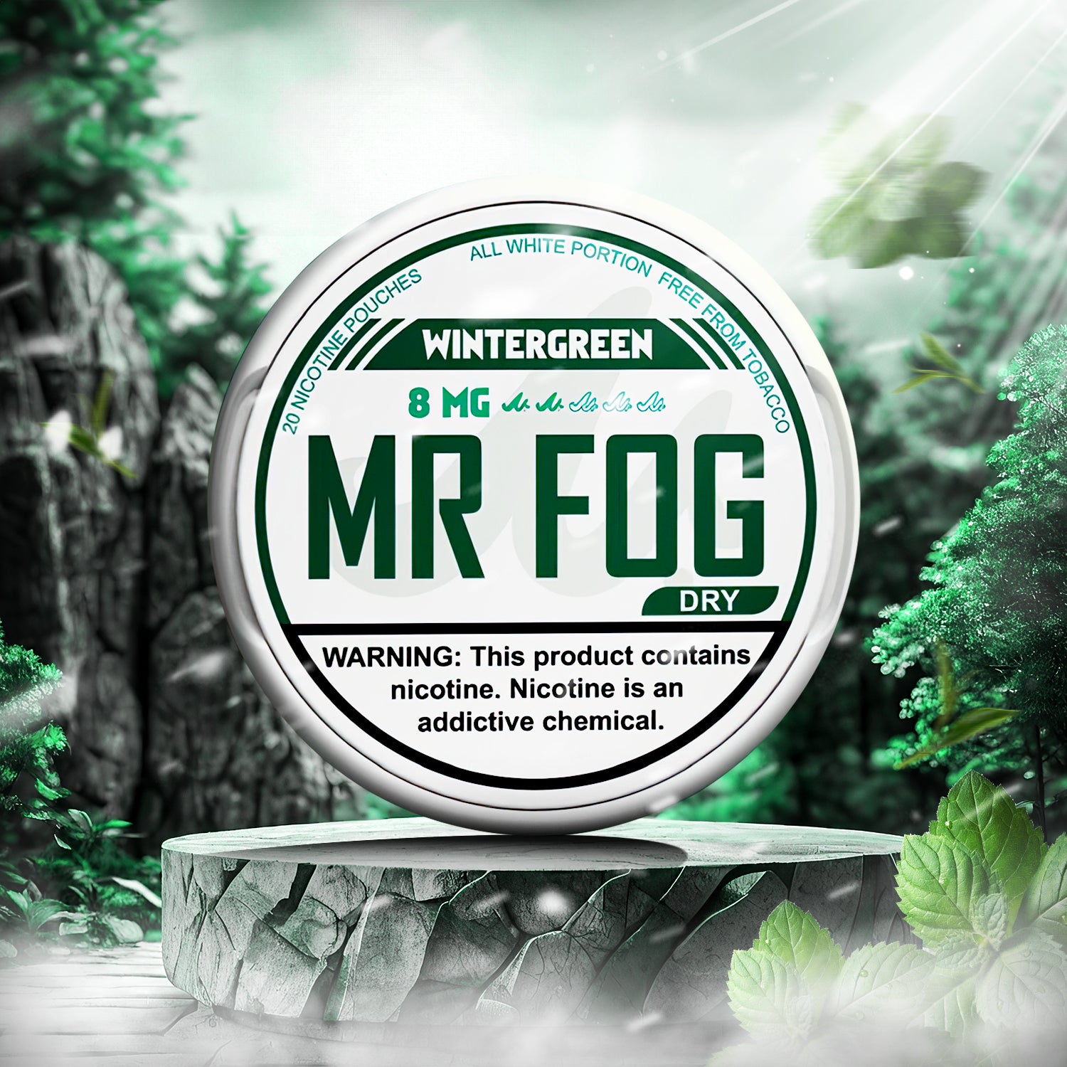MR FOG NICOTINE POUCHES 8MG - Wintergreen Dry  MR FOG NICOTINE POUCHES 8MG - Wintergreen Dry
