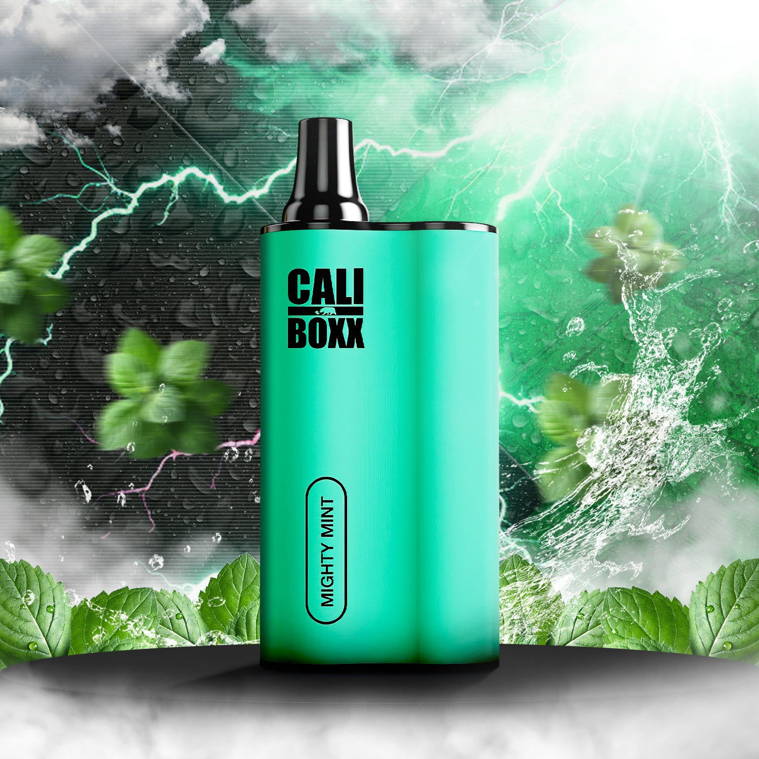 Cali BOXX Disposable Vape - Mighty Mint  Cali BOXX Disposable Vape - Mighty Mint