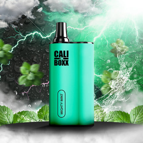 Cali BOXX Disposable Vape - Mighty Mint  Cali BOXX Disposable Vape - Mighty Mint