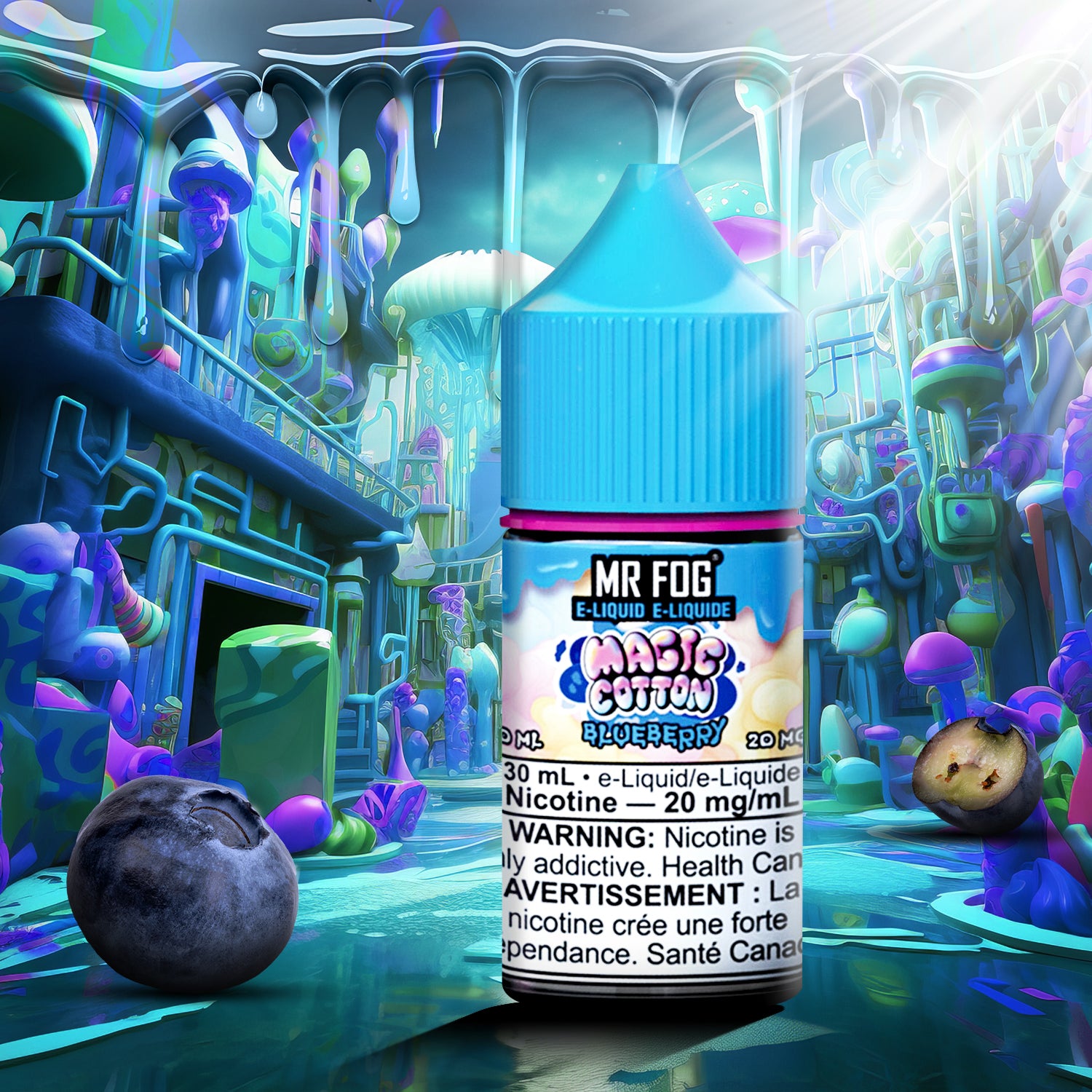 MR FOG E-LIQUID MAGIC COTTON 100ML - Blueberry 